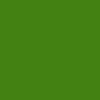 312 - LIGHT GREEN PERMANENT