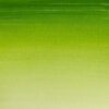 Sap Green - 599