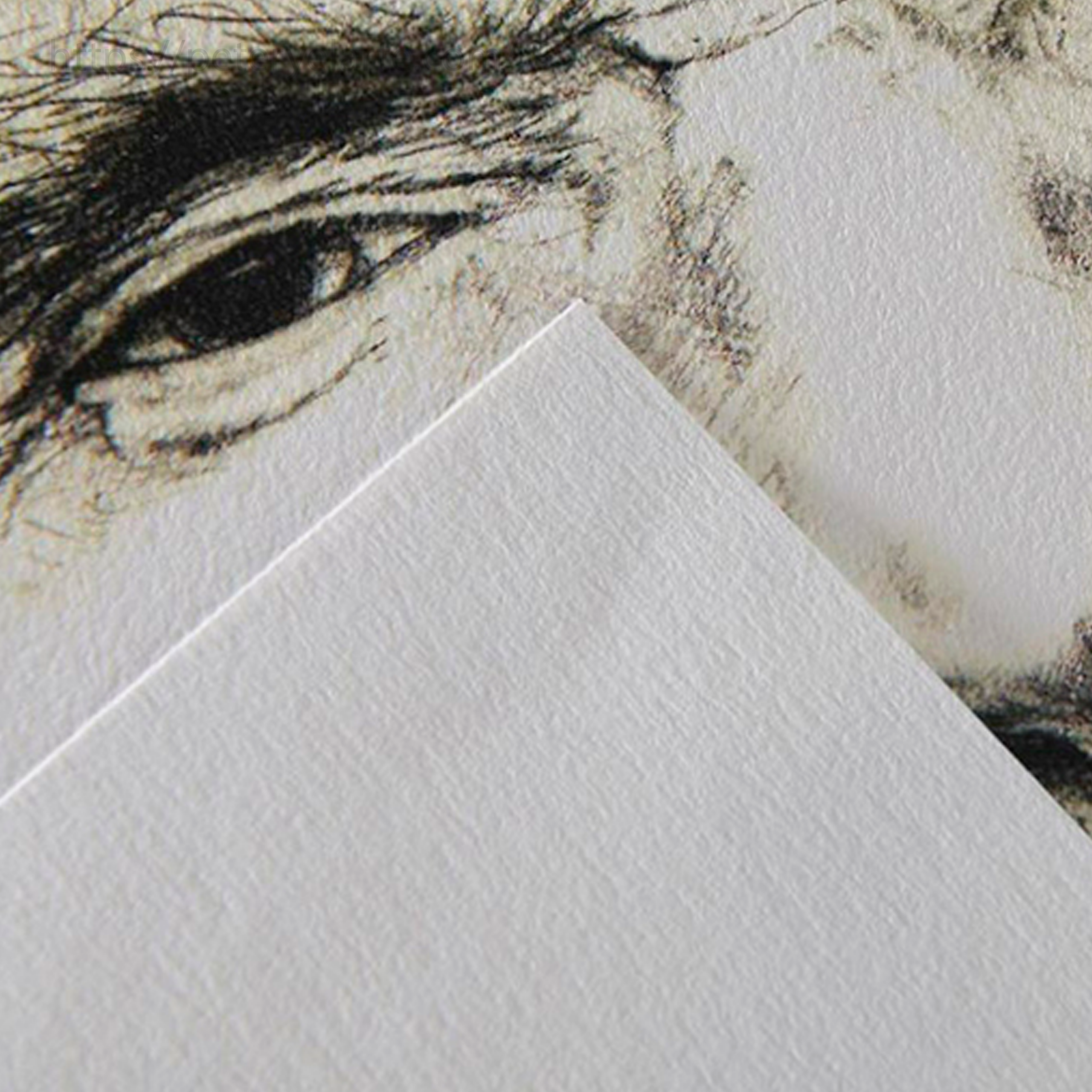Block para dibujo - Canson C A grain - 180 g - Imagen 3