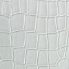 Piel lagarto Blanco