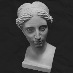 Busto de Yeso - Venus de Milo