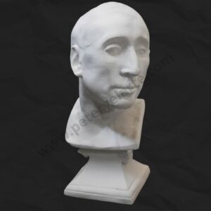 Busto de yeso - Nicolo