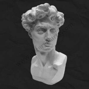 Busto de yeso - David