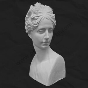 Busto de yeso - Afrodita