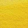 Cadmiun Yellow Hue - 109