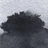 Ivory Black - 331